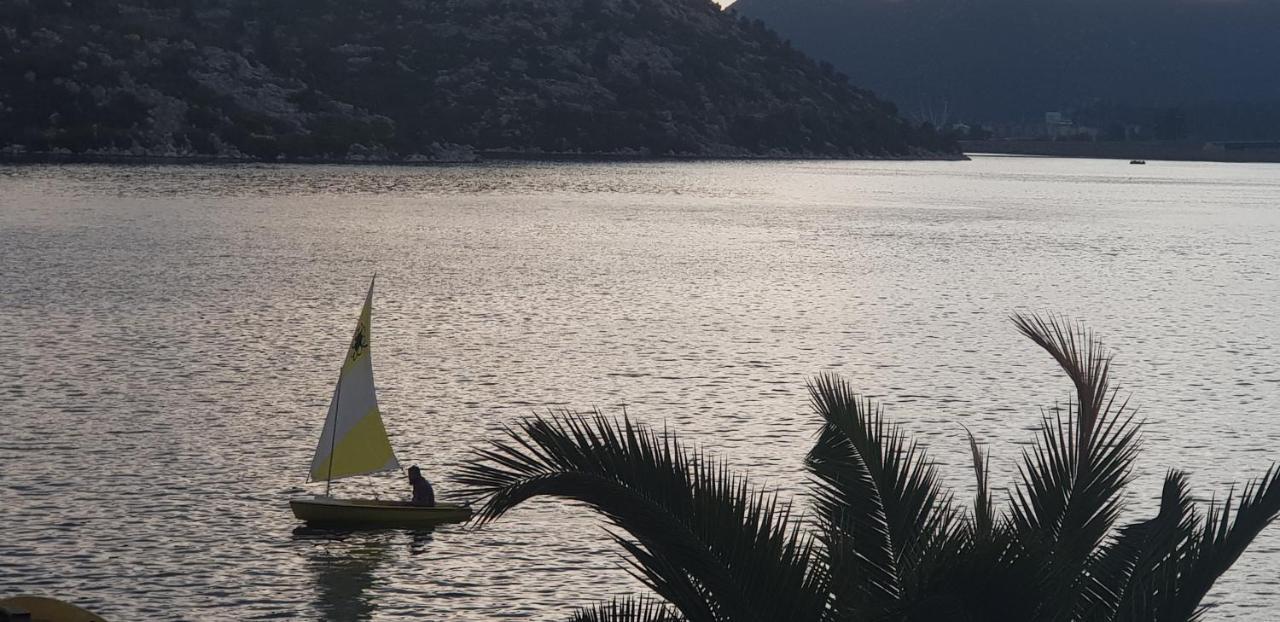 Apartment Damic Ploce (Dubrovnik-Neretva)